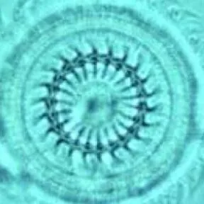 thumbnail for publication: Common Freshwater Fish Parasites Pictorial Guide: Motile Ciliates